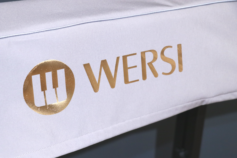 MEGACOVER_Grau_Rückseite_WERSI-Gold_Detail